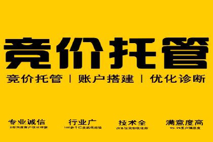 百度品牌广告的创意与执行案例